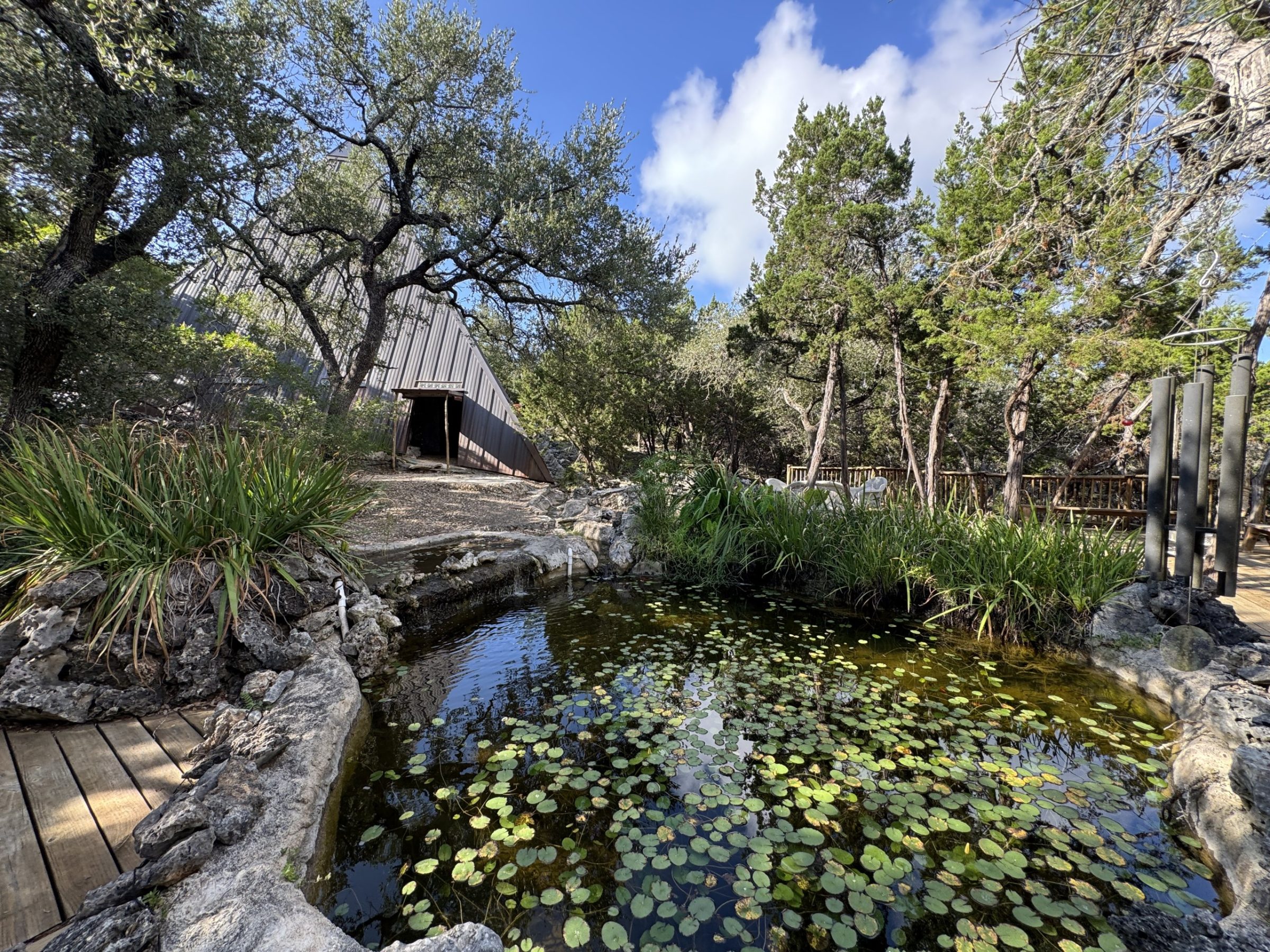 The lily pond and boardwalk at the pyramid entrance