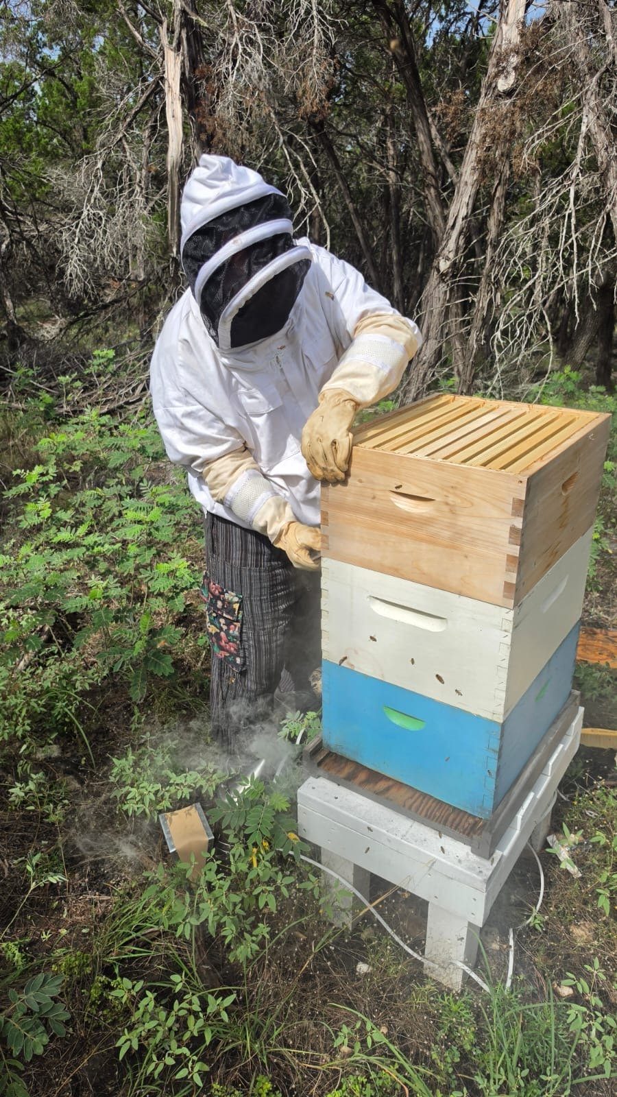 Opening the stacked hive boxes by hand