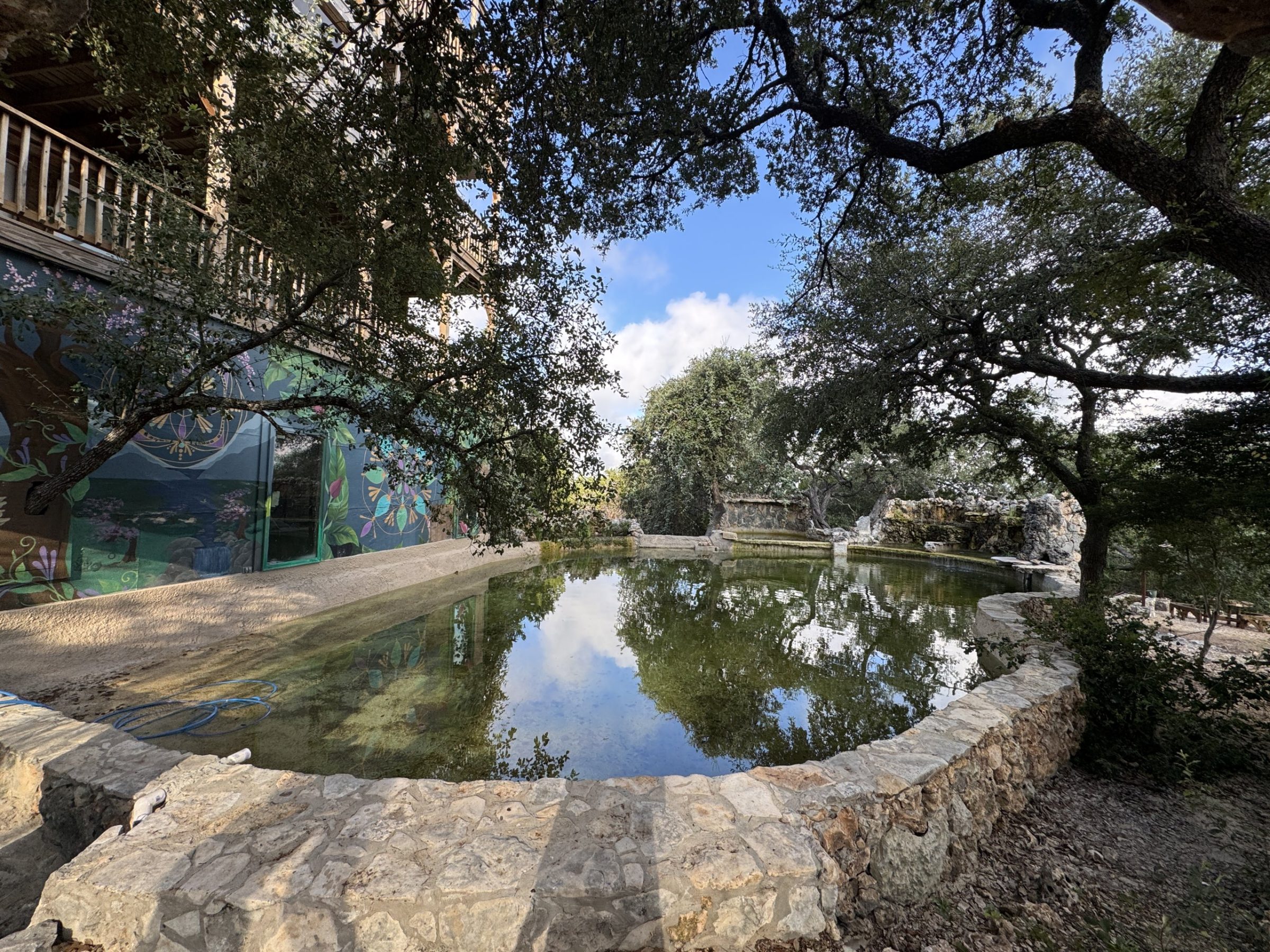 The natural stone pool under century-old live oaks