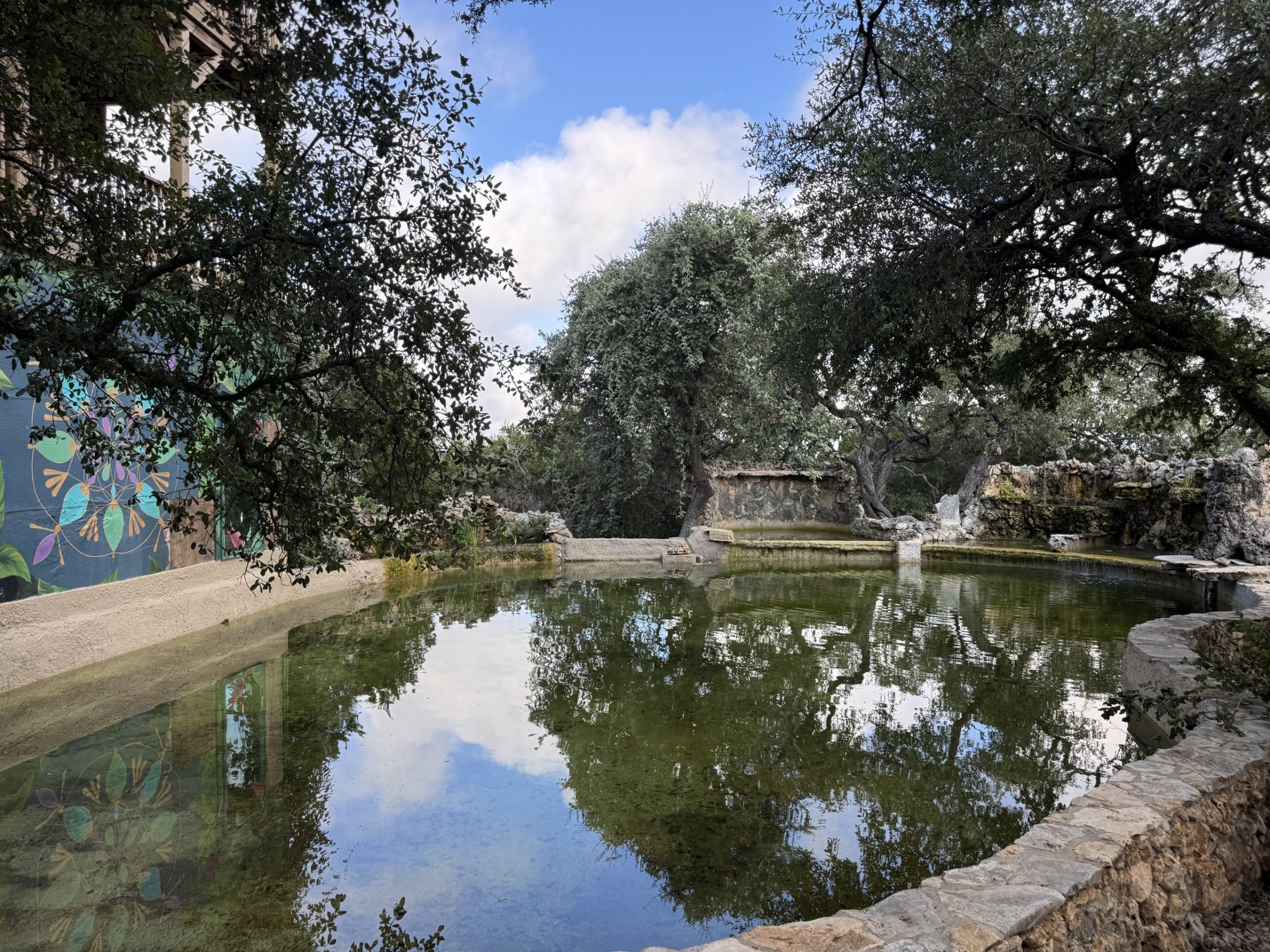 Still water reflecting the oak canopy in the natural pool